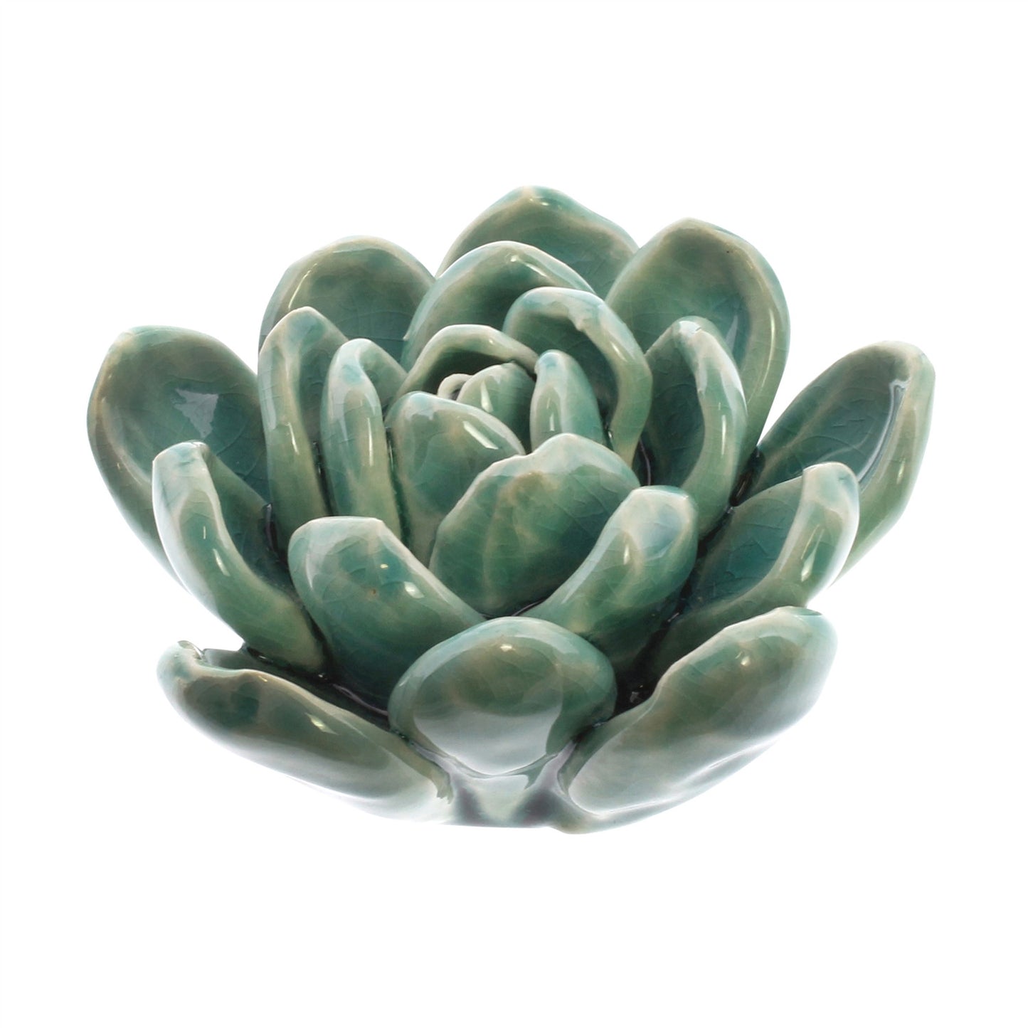 Ceramic Succulent medium