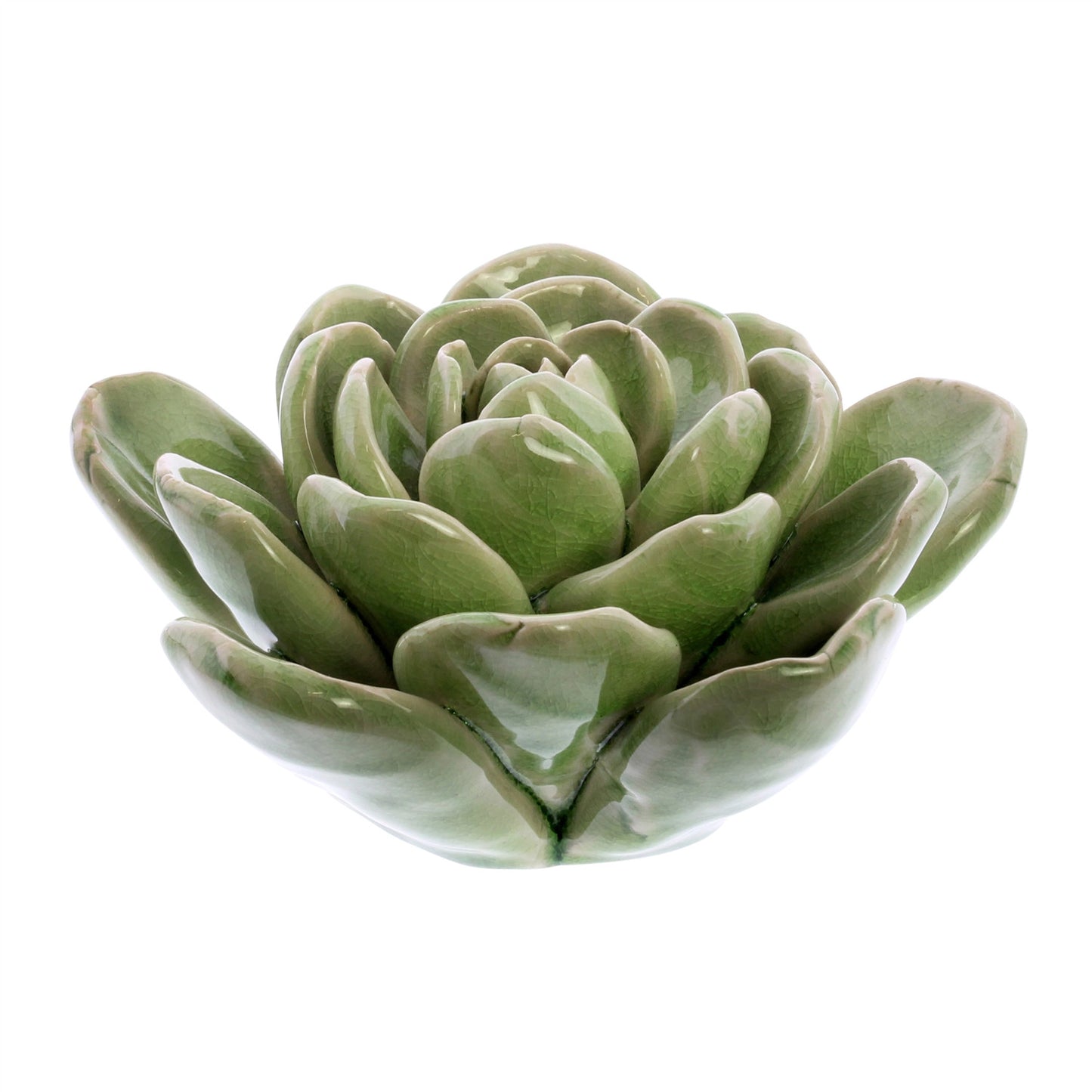 Ceramic Succulent large