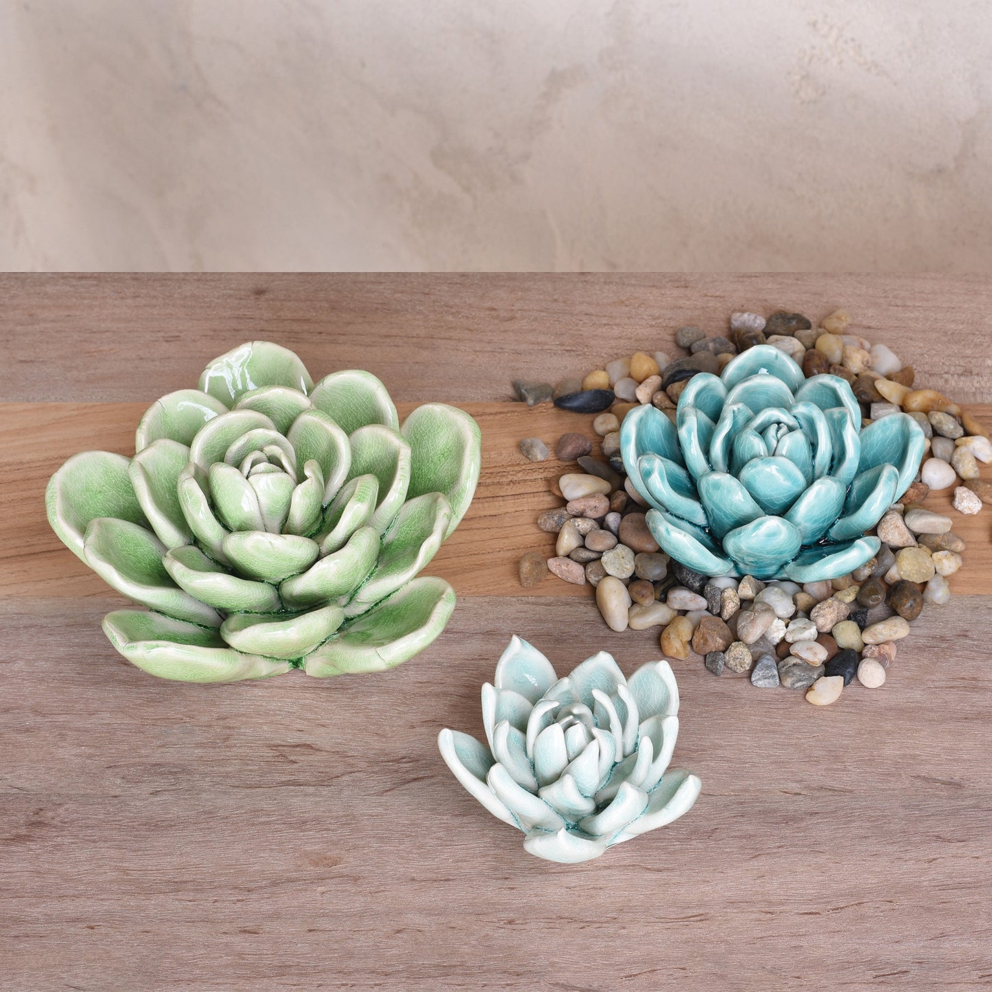 Ceramic Succulent medium