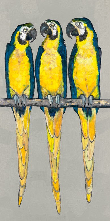 Three Macaws Canvas