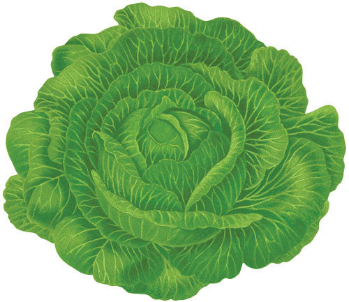 Cabbage Leaf Placemat Set