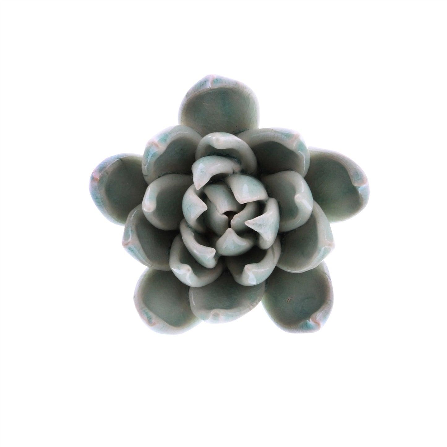 Ceramic Succulent small