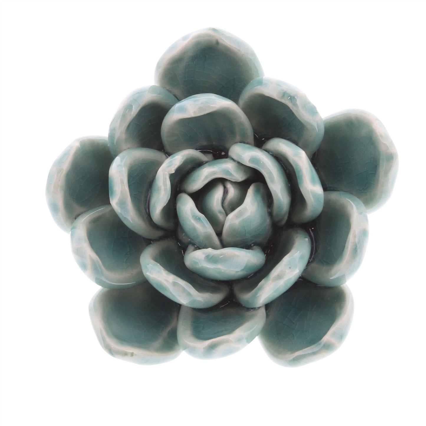 Ceramic Succulent medium