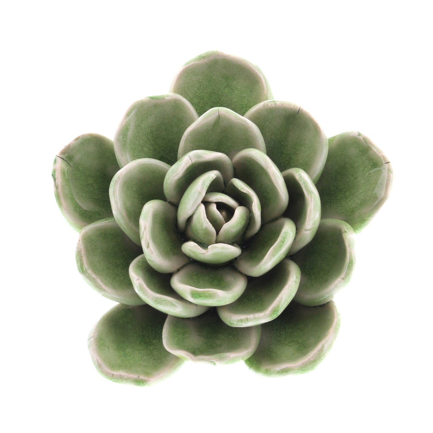 Ceramic Succulent large