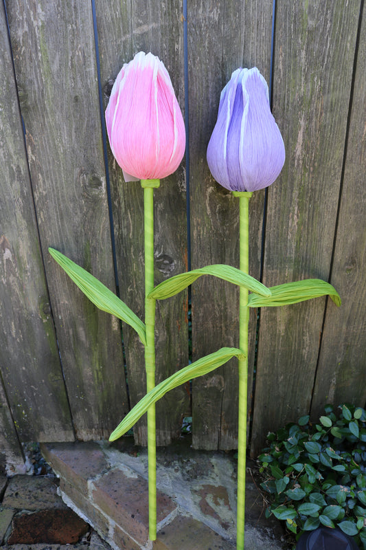 Medium Tulip