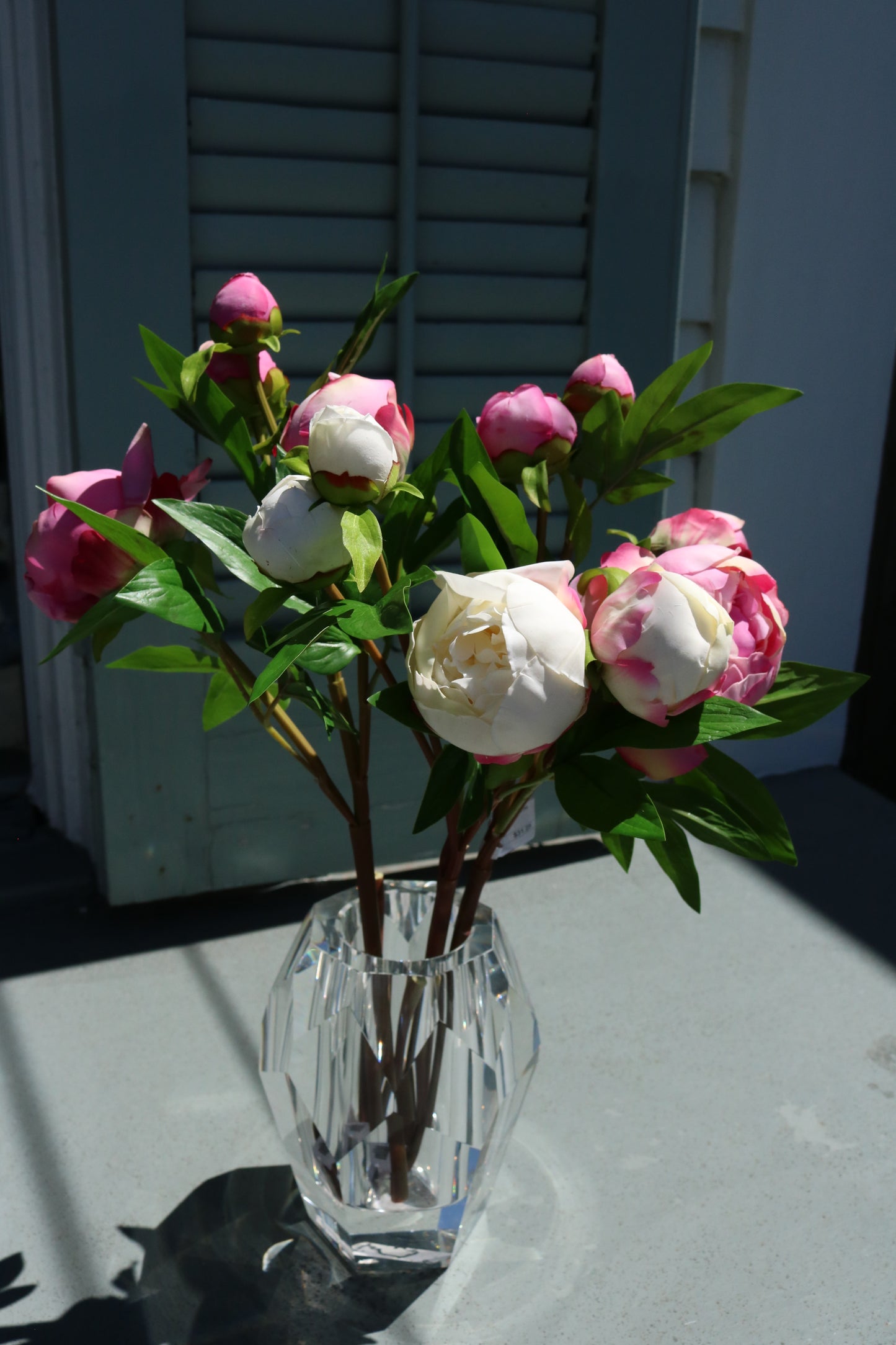 Peony Buds (4)